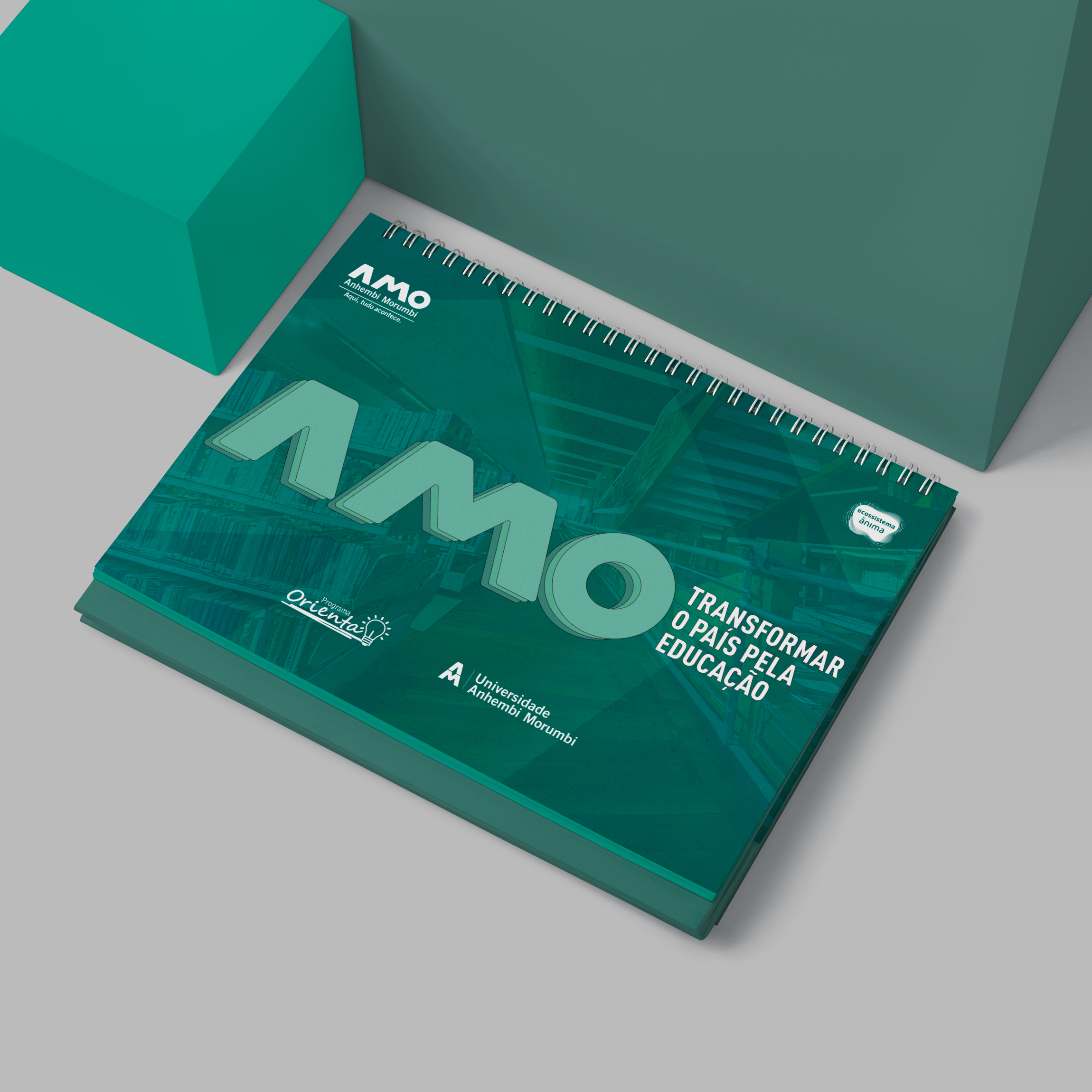 Descrição do Projeto 8